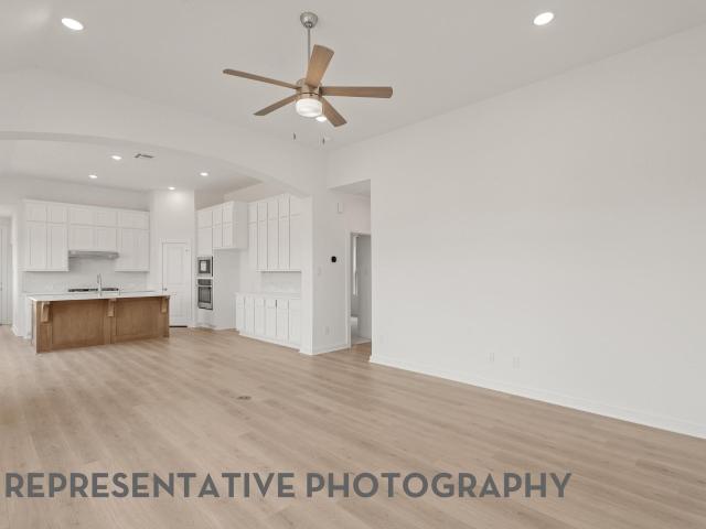 11207 Apricot Sulphur Drive