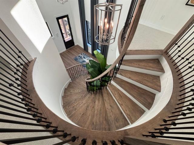 11215 Cassia Tree Lane