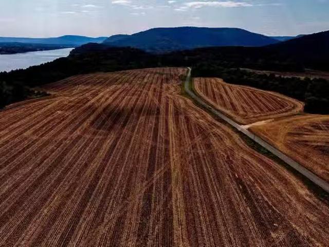 1122 MCCUTCHEON LOOP RD, LACEYS SPRING, AL 35754