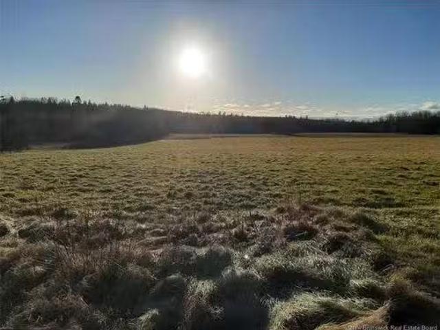 112 114 Reeder Rd, Salisbury, NB, E4J 2P8 vacant land for sa.