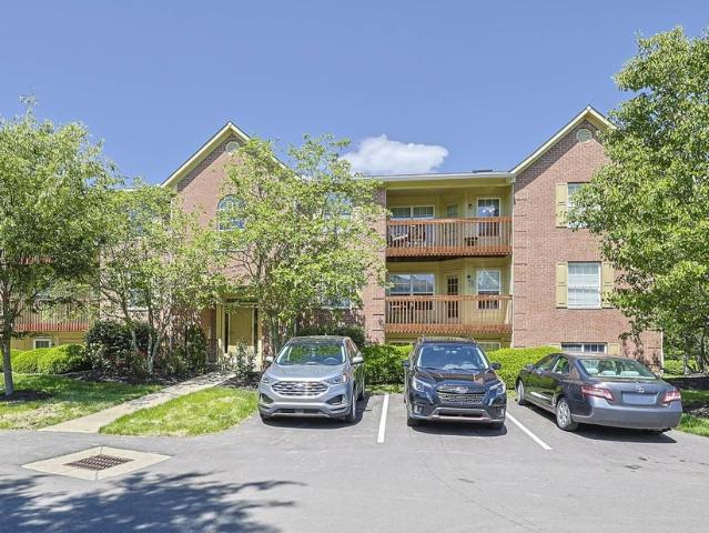 112 Dogwood Drive # 6