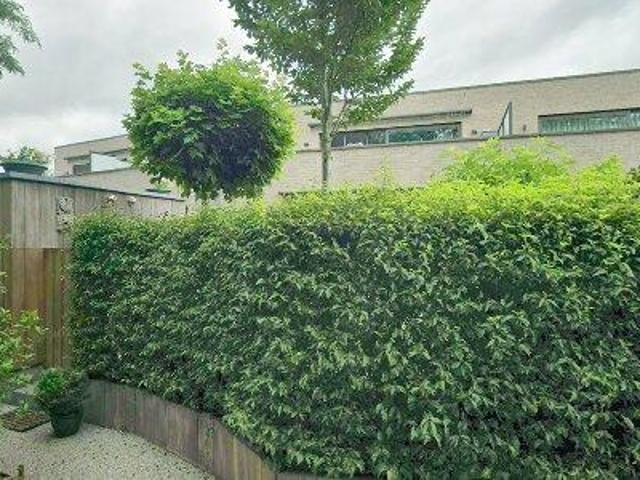112 m2 apartment for rent in Ledegem