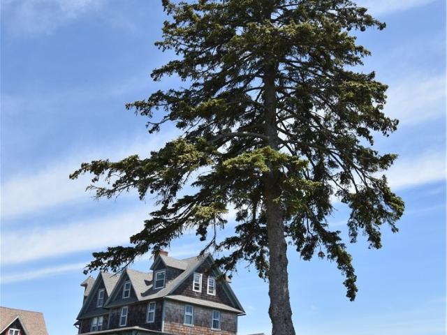 112 Noyes Neck Road