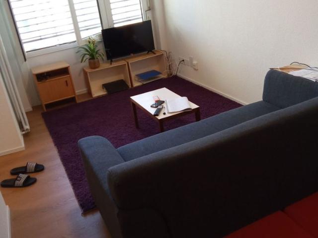 11/2 ROOM APARTMENT IN LUCERNE, FURNISHED, TEMPORARY