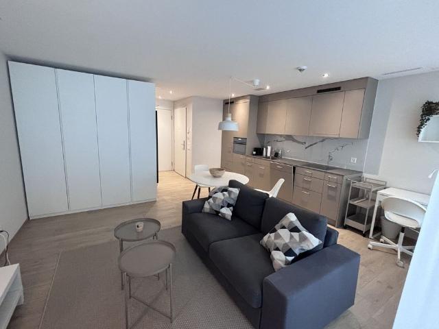 11/2 ROOM APARTMENT IN NEUHAUSEN AM RHEINFALL SH, FURNISHED, TEMPORARY