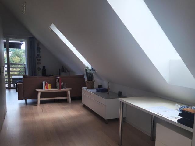 11/2 ROOM APARTMENT IN SEUZACH ZH, FURNISHED, TEMPORARY
