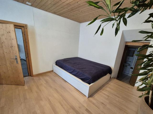 11/2 ROOM APARTMENT IN TAMINS GR, FURNISHED, TEMPORARY