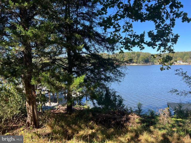 1134 S Lakeshore Dr, Louisa, VA 23093 | MLS #VALA2009
