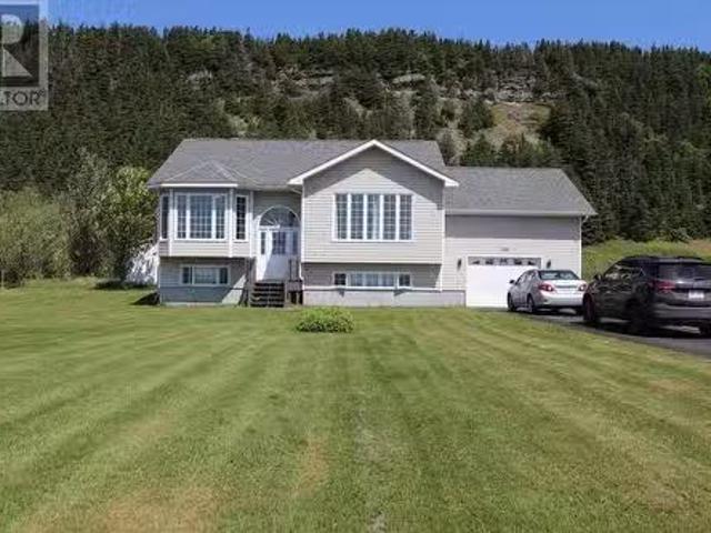 1130 Oceanview Drive, Cape St George, NL, A0N 1E0 house for.