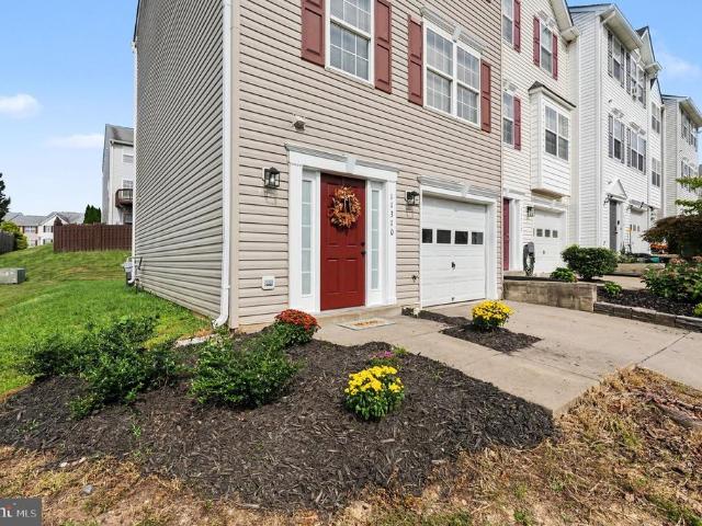 11310 Wytheville Lane