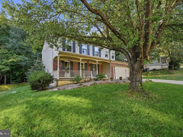 11318 Springfield Drive