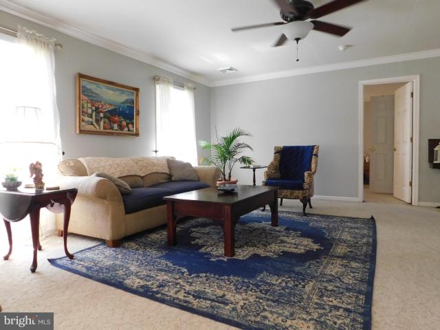 113 Canal St, Grasonville, MD 21638 | MLS #MDQA2016