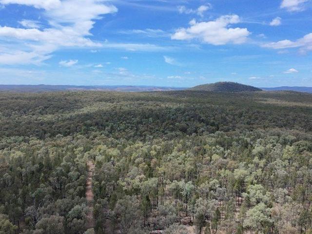 113 Acres of Weekender Solitude!