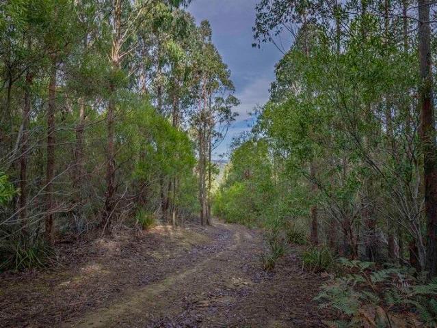 113 Hectares of Natural Beauty A Rare Bushland Retreat
