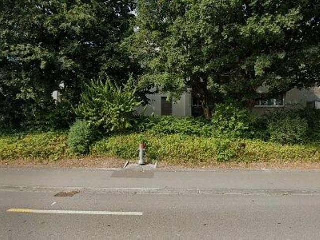 113 m2 apartment for rent in Dietikon