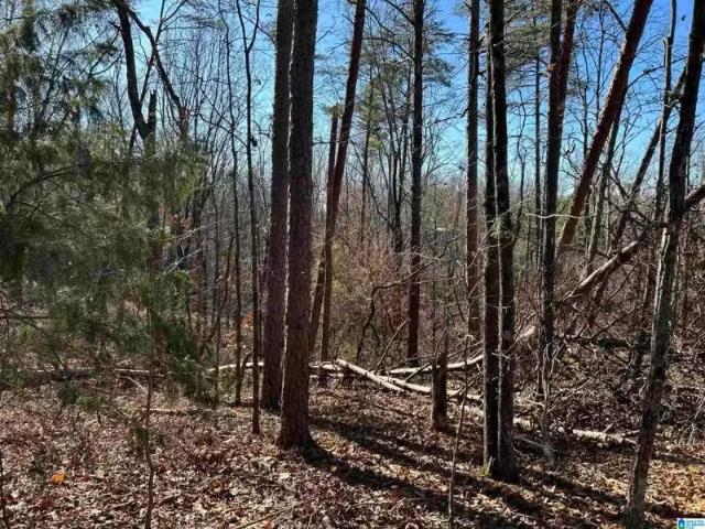 113 N HIGHLAND DR # 10, COLUMBIANA, AL 35051