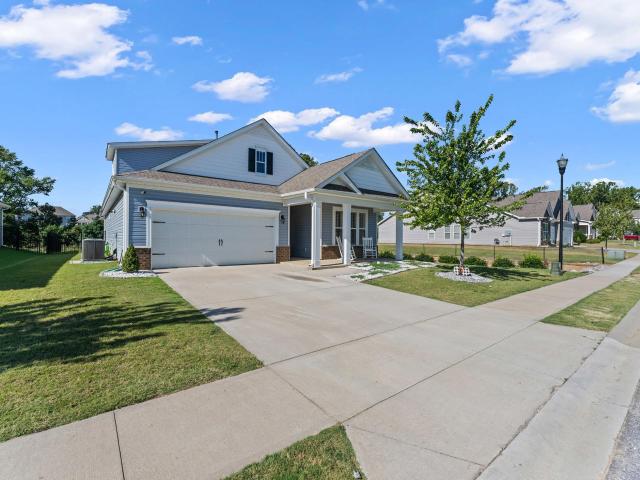 113 Yellow Fox Road