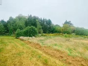 1146 St. Charles Road, St. Charles, PE, C0A 2B0 vacant land.