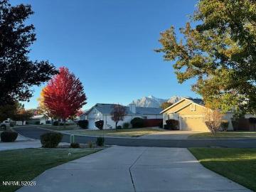 1147 White Oak Loop, Minden, NV 89423 | MLS #260004