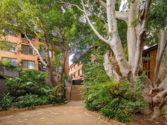 11/492 500 Elizabeth Street, Surry Hills Apartment | Listed 03 July 2026