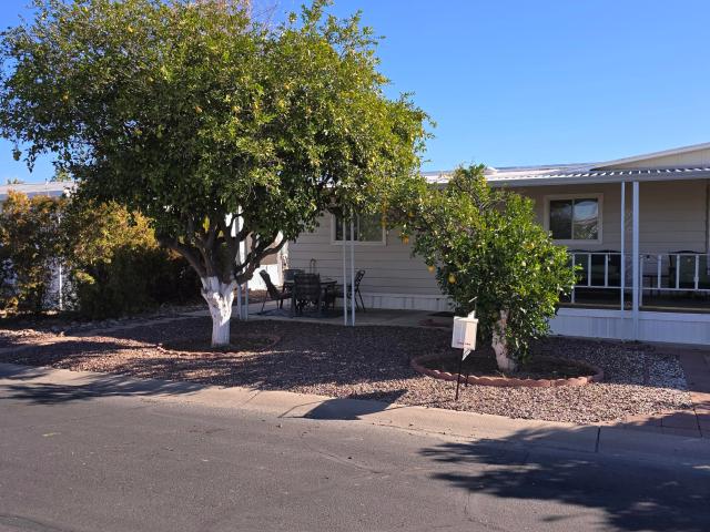 11411 N 91ST Avenue # 185