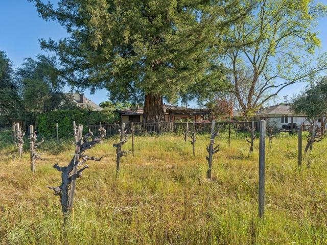 1143 Hudson Ave, St. Helena, CA 94574 | MLS #326016