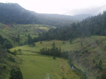 50 Acres Gold Coast Hinterland Canungra