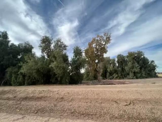 1159 N BROADWAY, BLYTHE, CA 92225