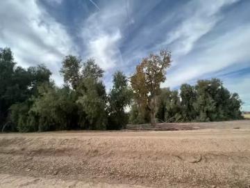 1159 N BROADWAY, BLYTHE, CA 92225