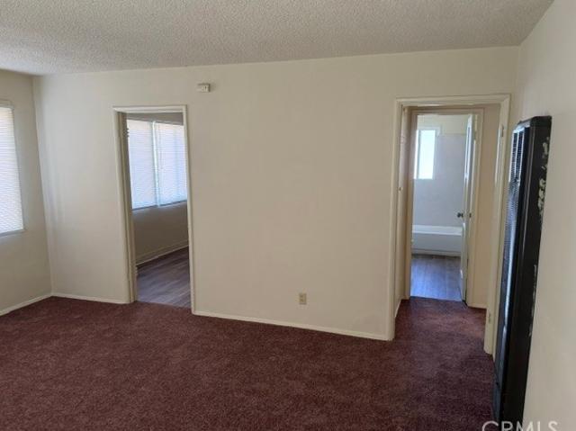 11503 Belcher