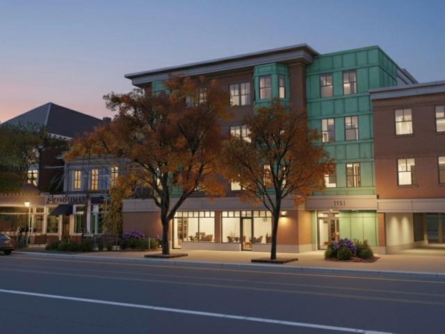 1151 Walnut Unit 205, Newton, US, MA