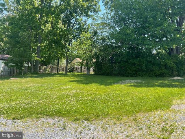 115 Hickory Lane