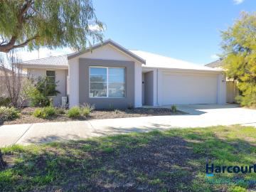 115 Shepperton Drive, BUTLER, WA 6036