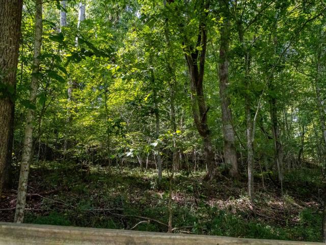 11644 Minor Hill Hwy