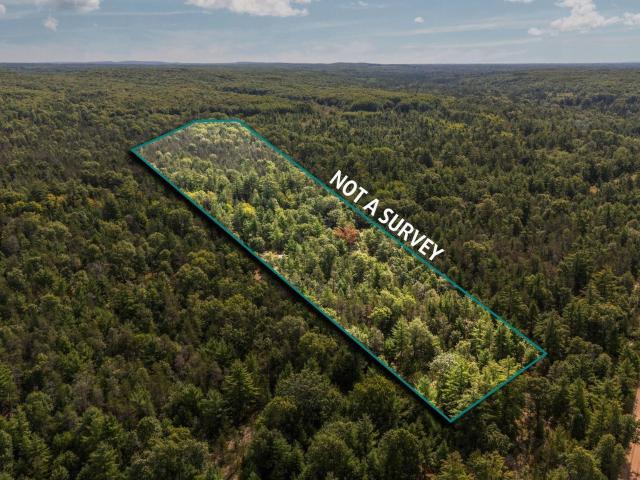 11663 SE Blueberry Trail