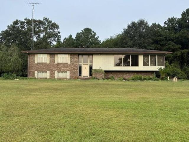 1161 Lake Frankie Rd, Samson, AL 36477