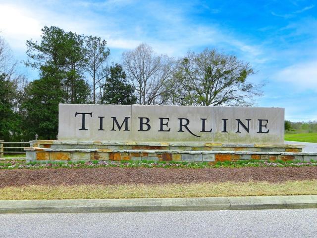 1163 Timberline Ridge