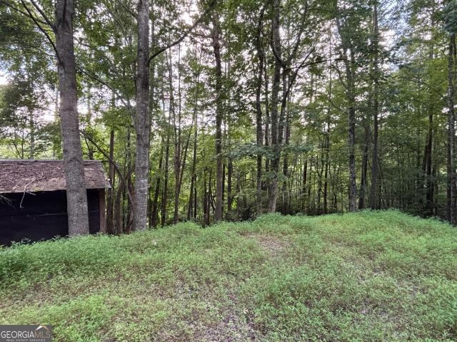 1163 Tipton Springs Road