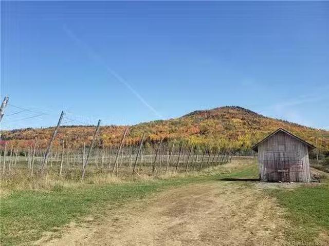 116 Maplehurst Rd, Maplehurst, NB, E7J 1S1 farm for sale Li.