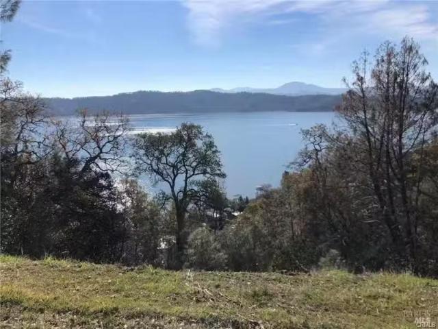 11705 LAKEVIEW DR, CLEARLAKE OAKS, CA 95423