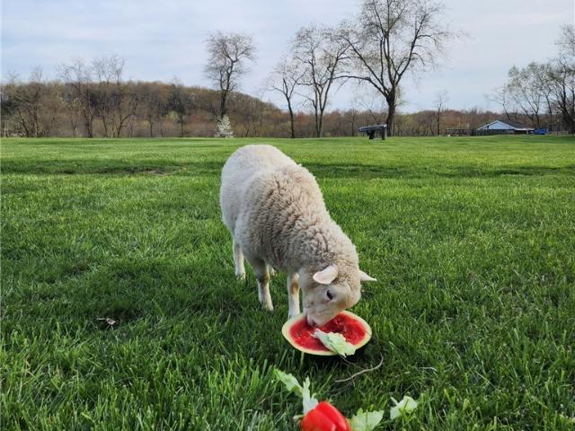 1170 Dillworth Road