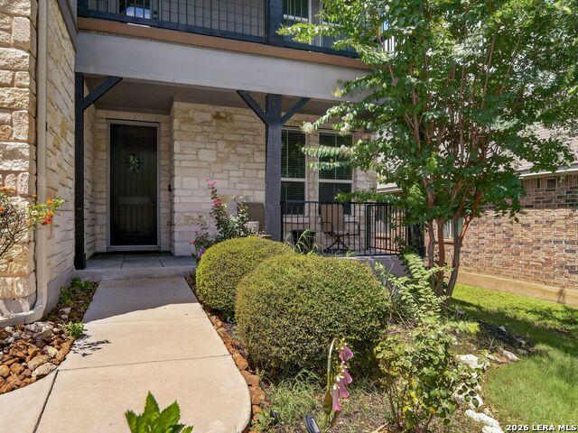 11715 Violet Cove