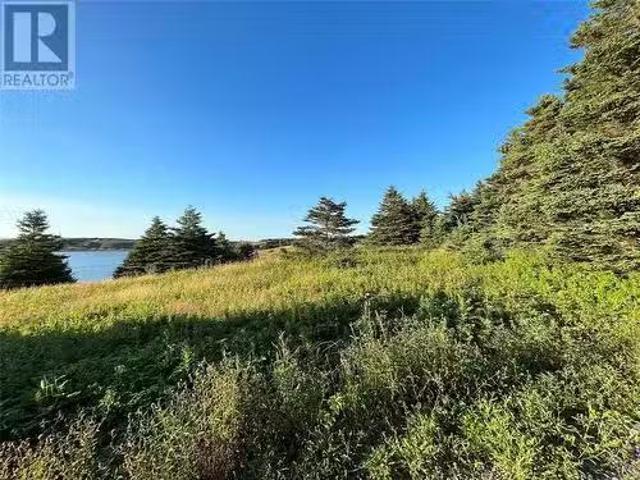 117 Cape Shore Highway, Point Verde, NL, A0B 2Y0 vacant land.