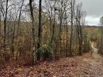 117 AMORE LN # 2, CHELSEA, AL 35043