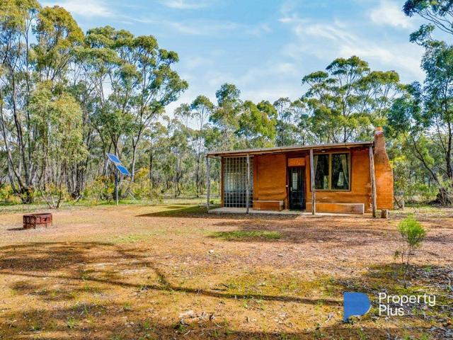 117 Acres Pristine Mature Native Forest Block