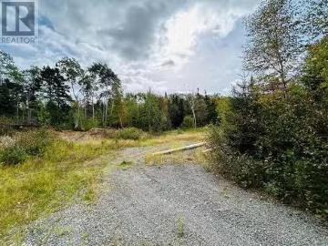117 Askels Cove Road, Western Arm, NL, A0H 1Z0 vacant land f.