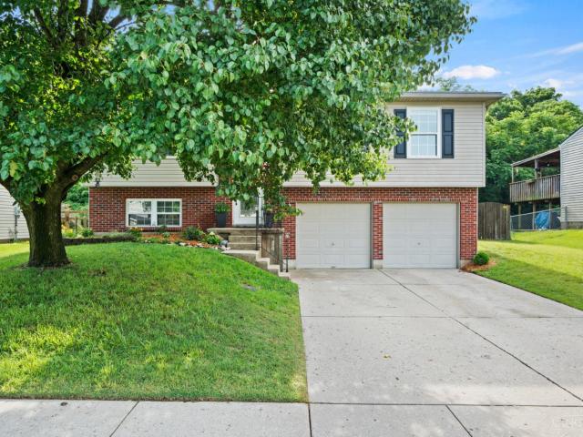 117 Deerview Court