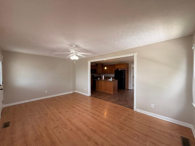 117 Elaine Ct