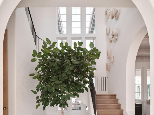 117 Featherbed Alley, Alys Beach, FL 32461 | MLS #993605