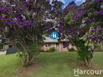 1/17 Kyla Street, ALSTONVILLE, NSW 2477 Unit for Rent